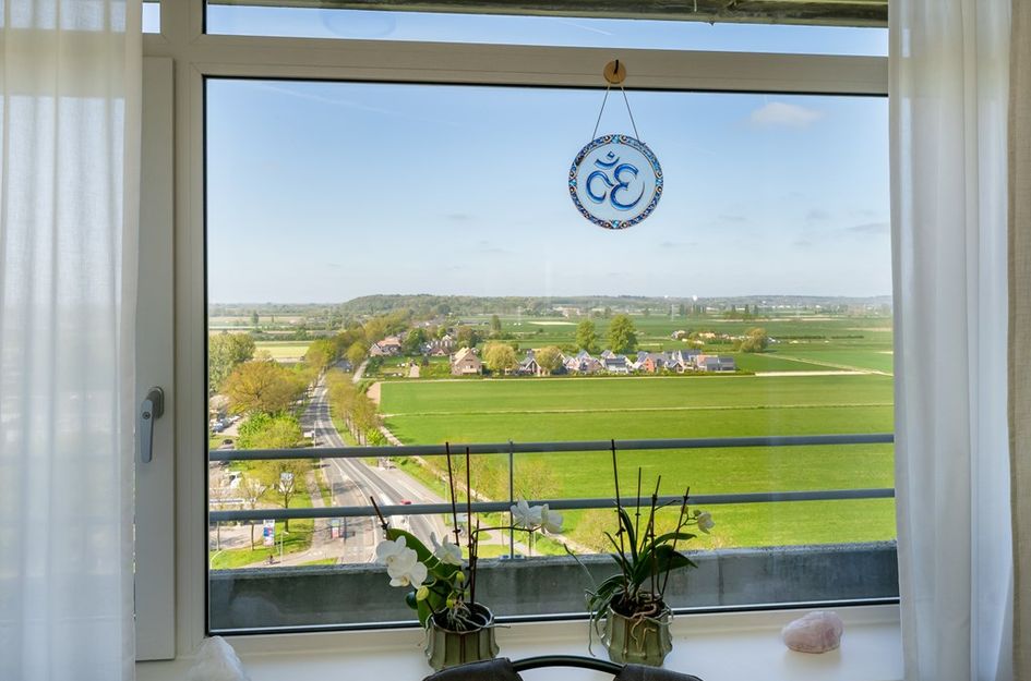 Albardaweg 163