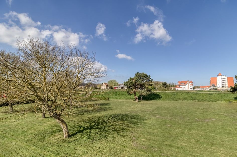 De Lopinge 20