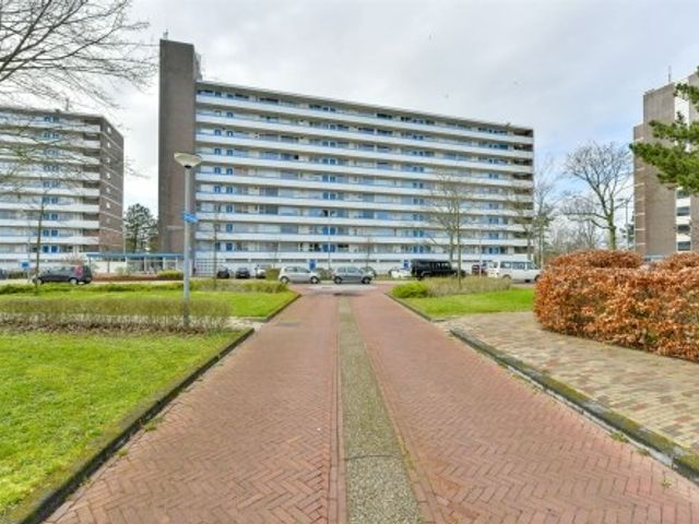 Honthorstlaan ONG, Alkmaar