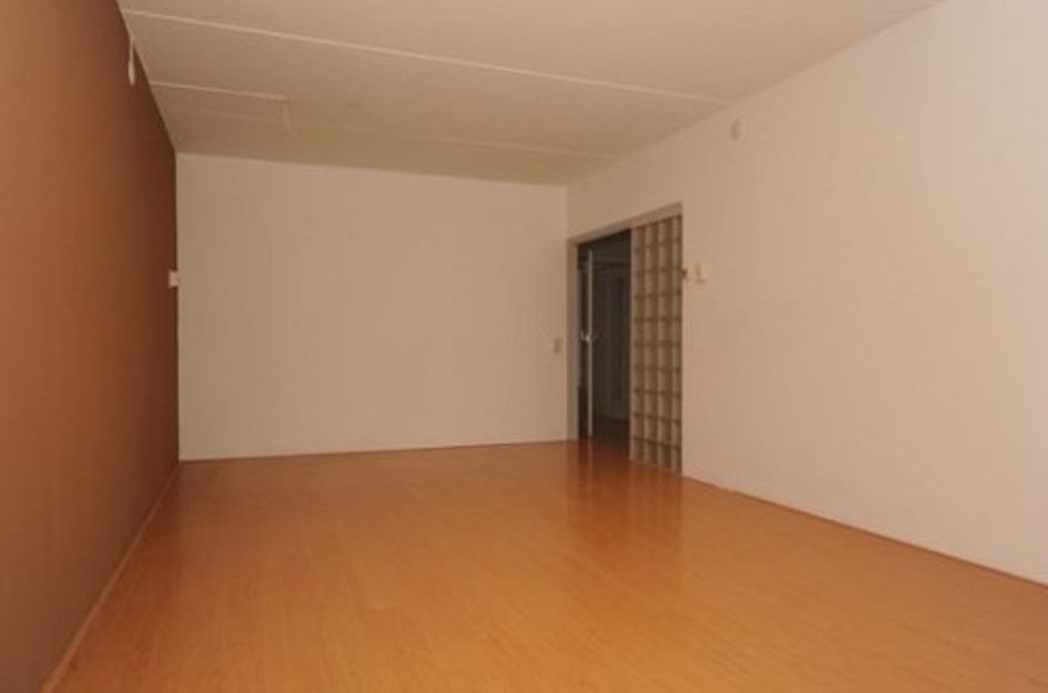 Lindenhof ONG