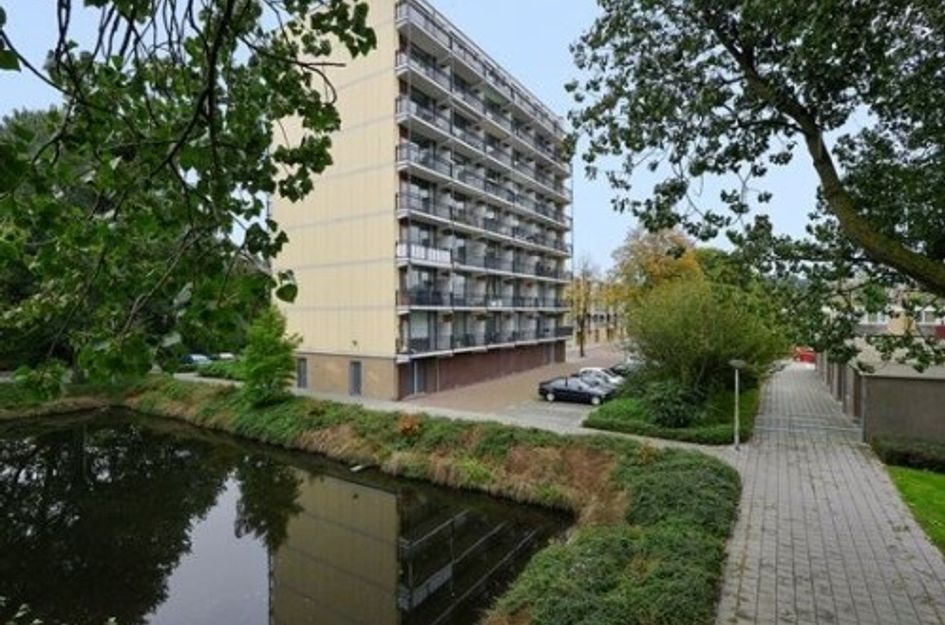 Lindenhof ONG