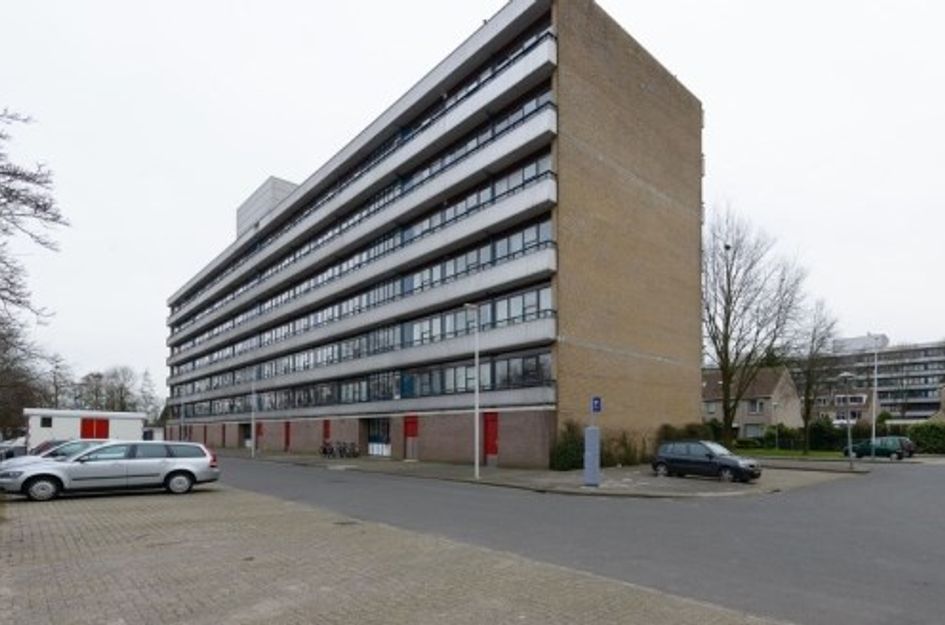 Rümkelaan ONG