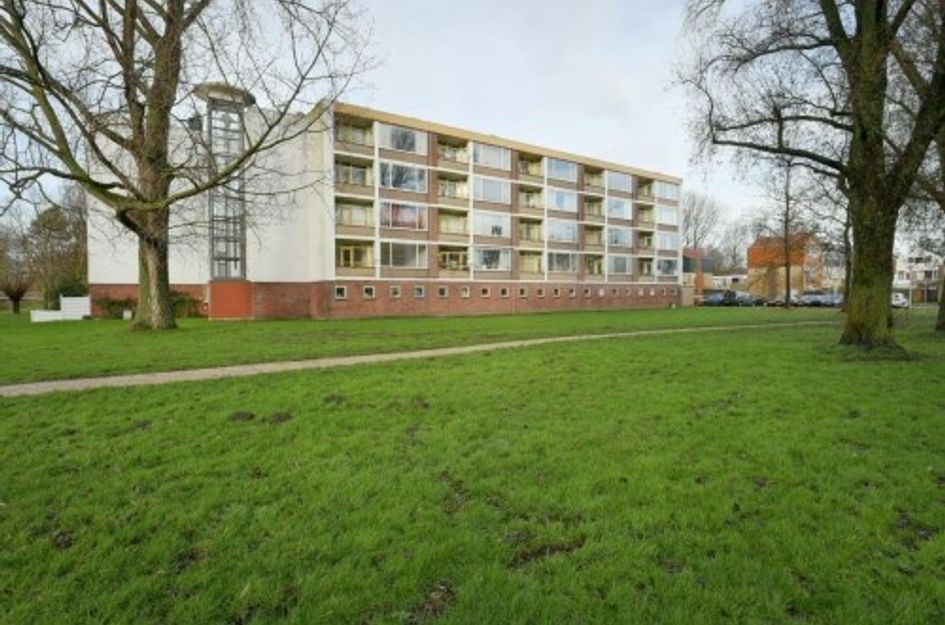Leverkruidweg ONG