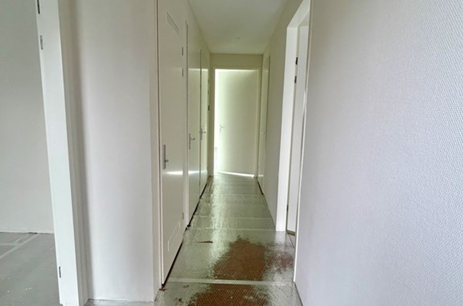 Stadhouderslaan 607