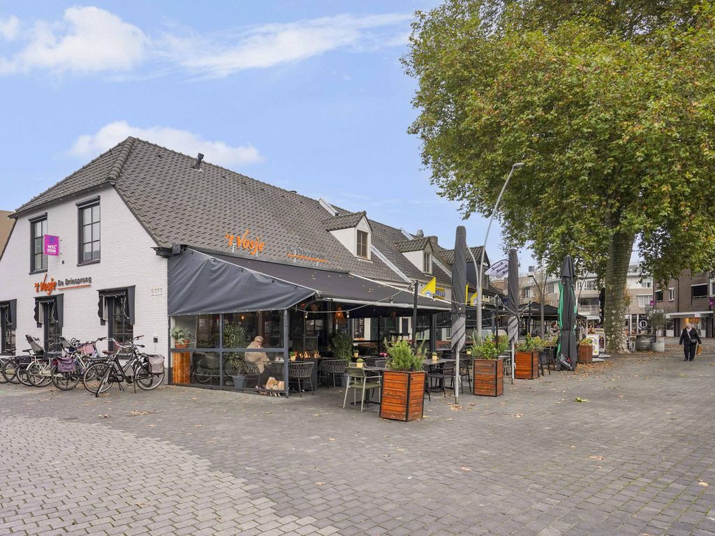 De Driesprong 29, ROSMALEN