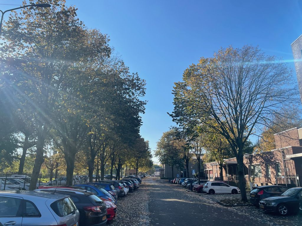 Raadhuislaan 4, Oss