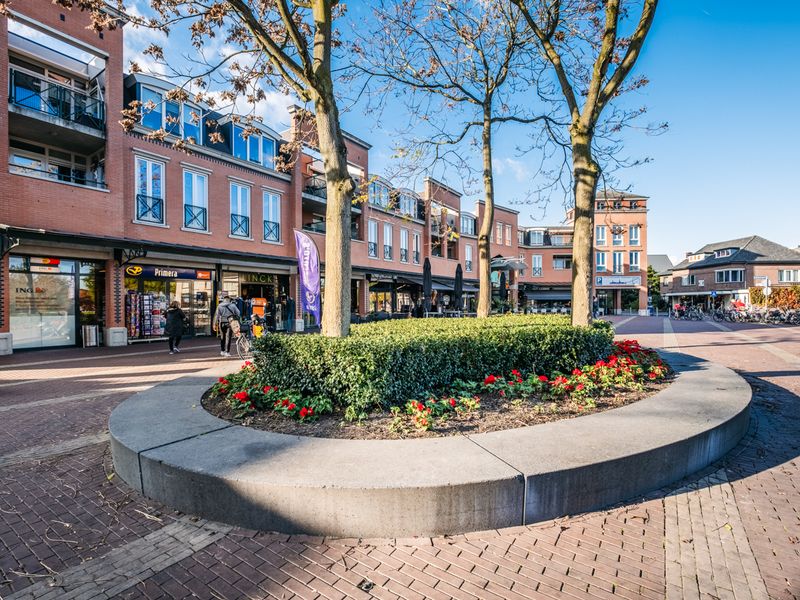 Wilhelminaplein 31, Rijen