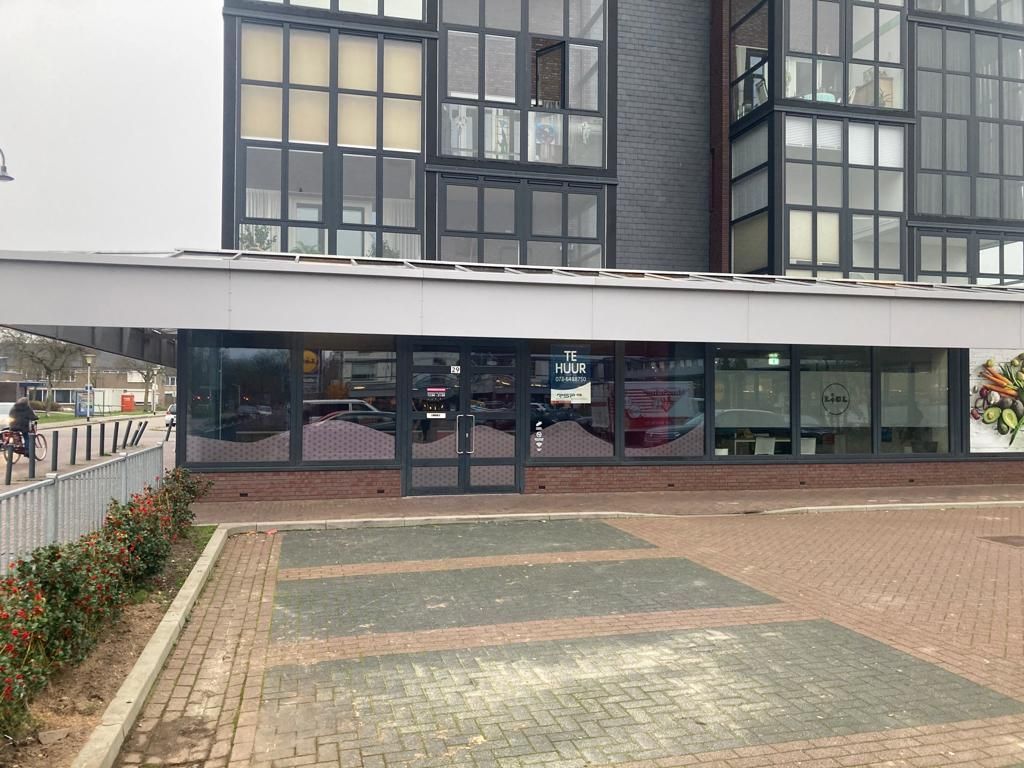 Geysendorfferstraat 29, Helmond