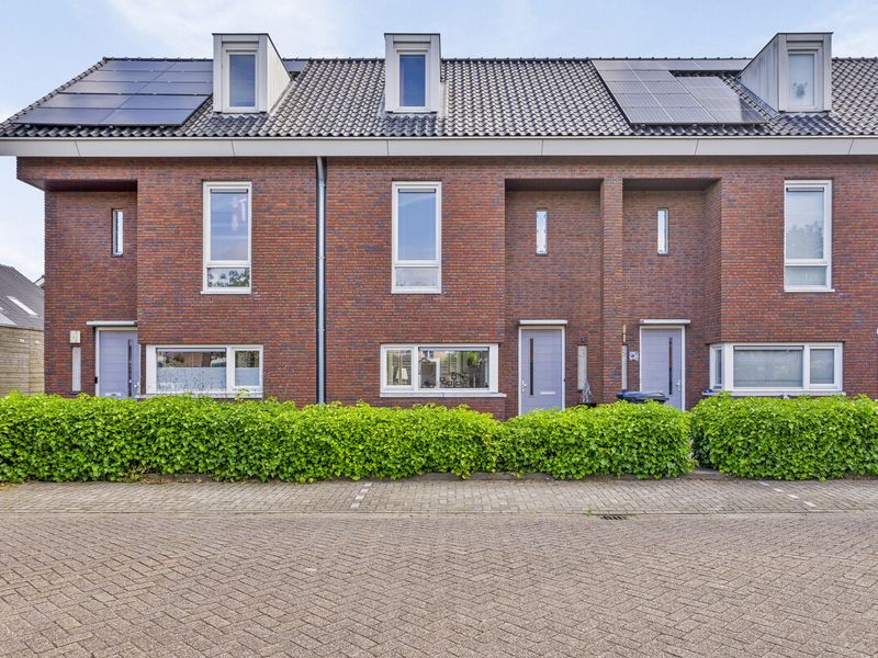 Ribesstraat 3, COLIJNSPLAAT