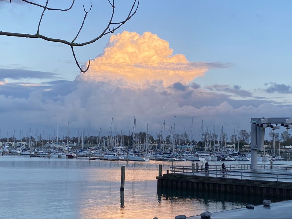 Ostrea 15, KAMPERLAND