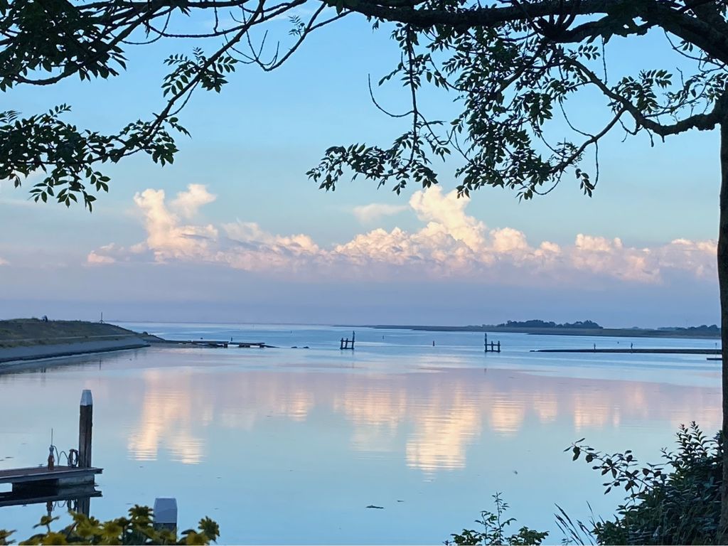 Ostrea 15, KAMPERLAND