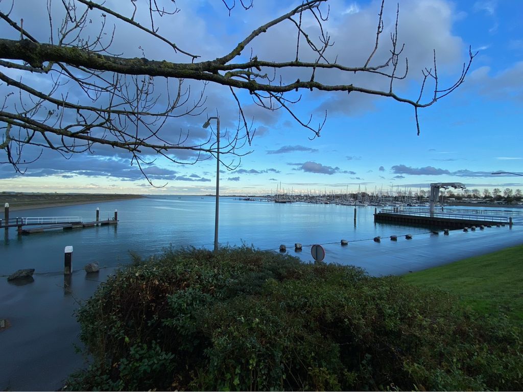 Ostrea 15, KAMPERLAND