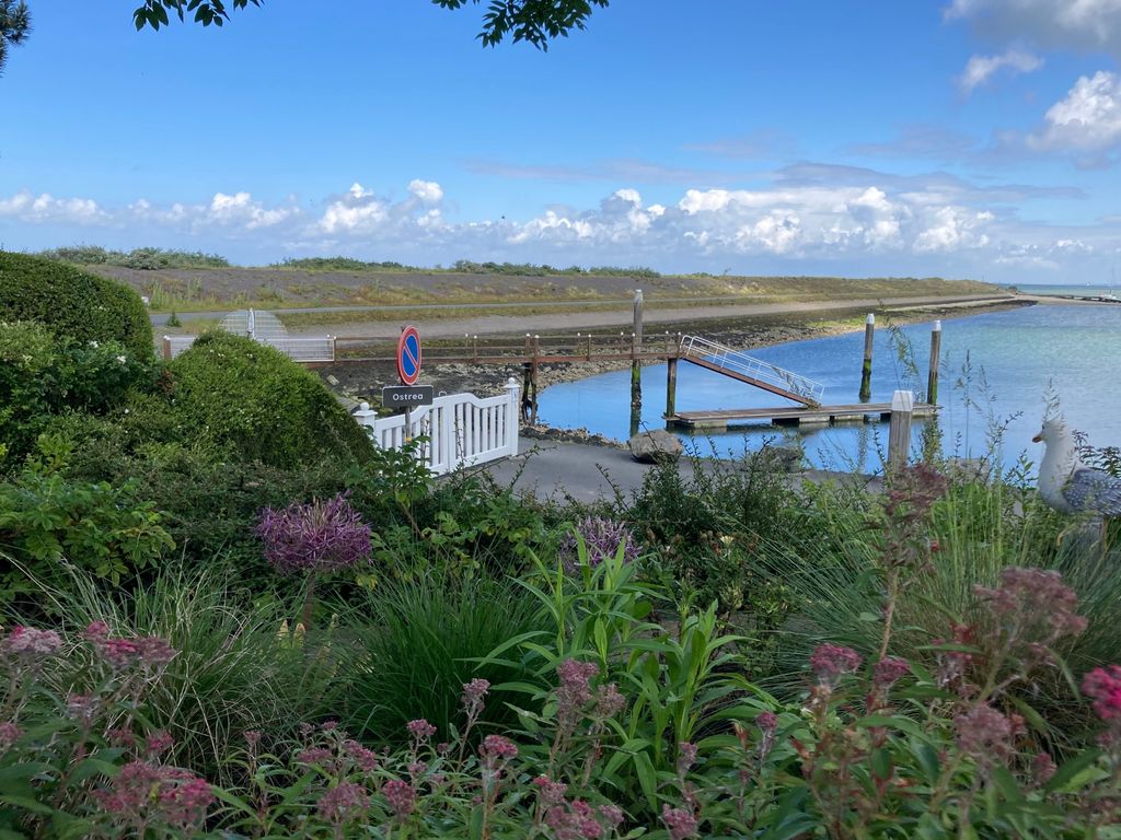 Ostrea 15, KAMPERLAND