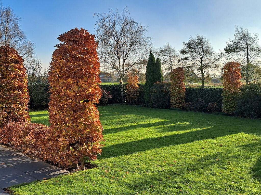 Einsteinstraat 31, KRUININGEN