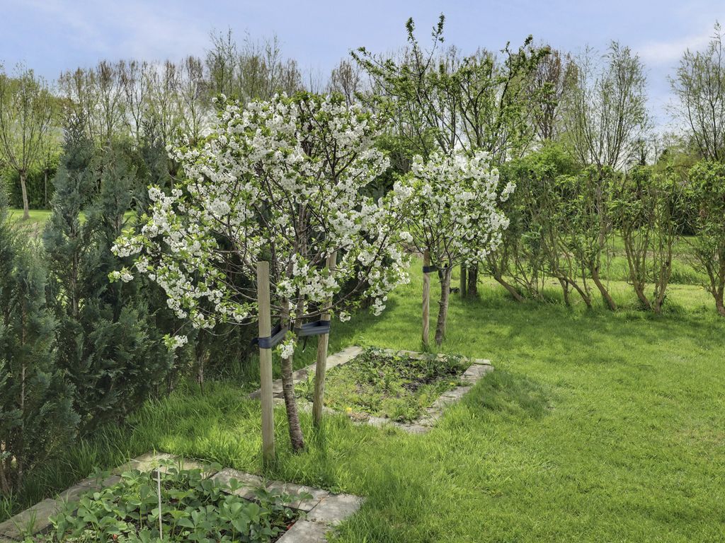 Lijnbaan 12, KORTGENE