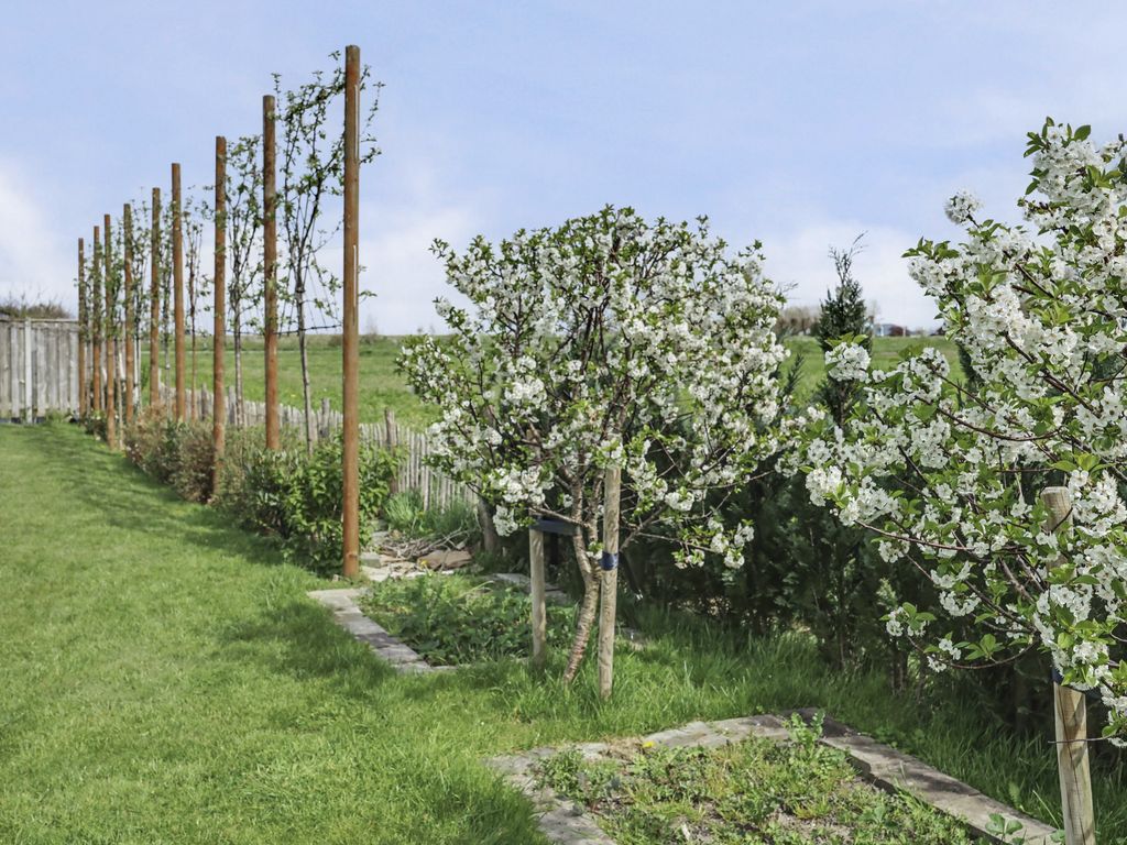 Lijnbaan 12, KORTGENE