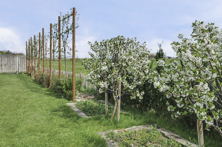Lijnbaan 12