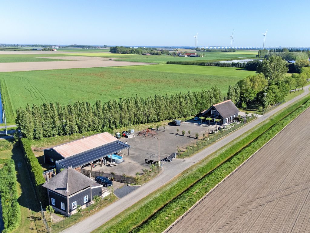 Boomdijk 2, Kats