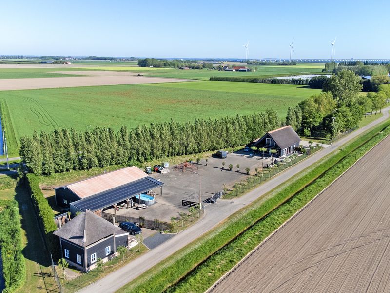 Boomdijk 2, Kats