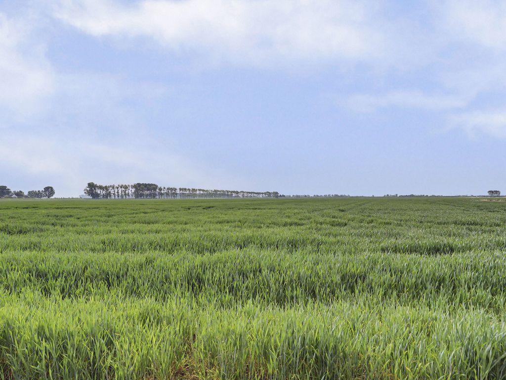 Provincialeweg 15b, GEERSDIJK