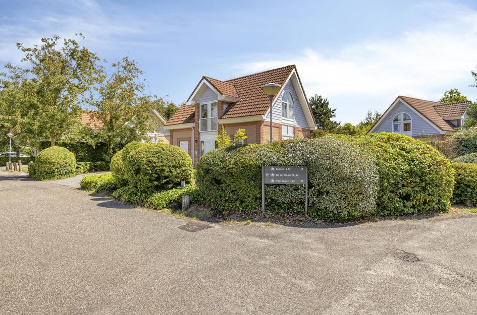 Duinen 5