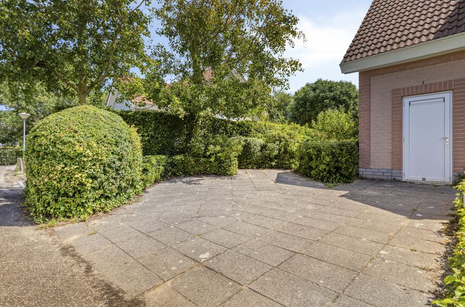 Duinen 5