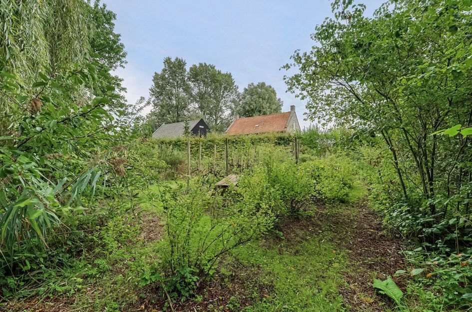 Langeweg 1