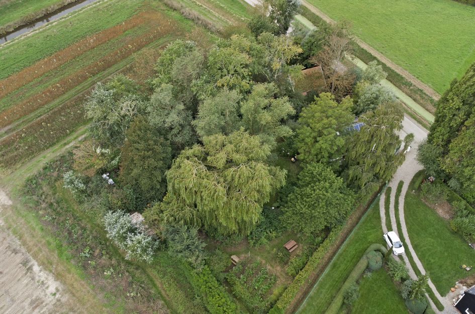 Langeweg 1