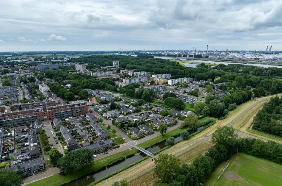 Zonnebloemstraat 39