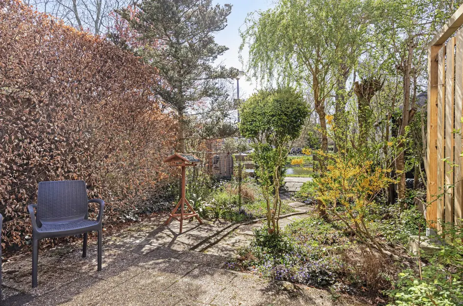 Scharlakendoorn 34