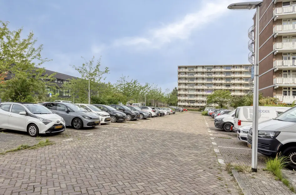 Alkenoord 64