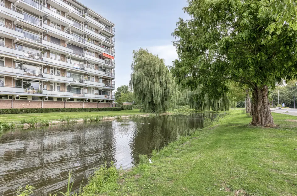 Alkenoord 64