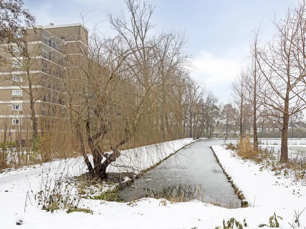 Wilgenhoek 97, CAPELLE AAN DEN IJSSEL