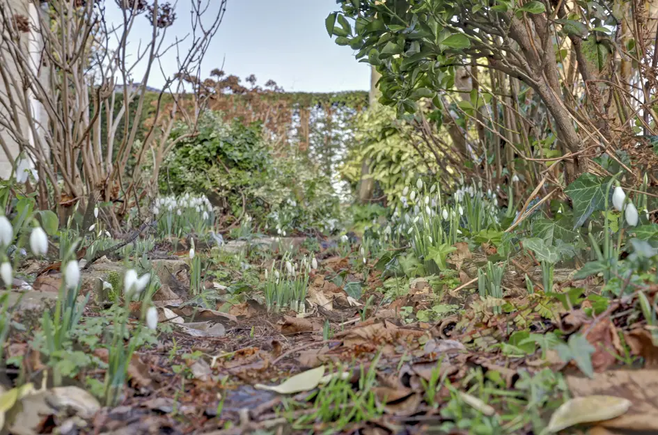 Notaris L P vd Blinkln 11a