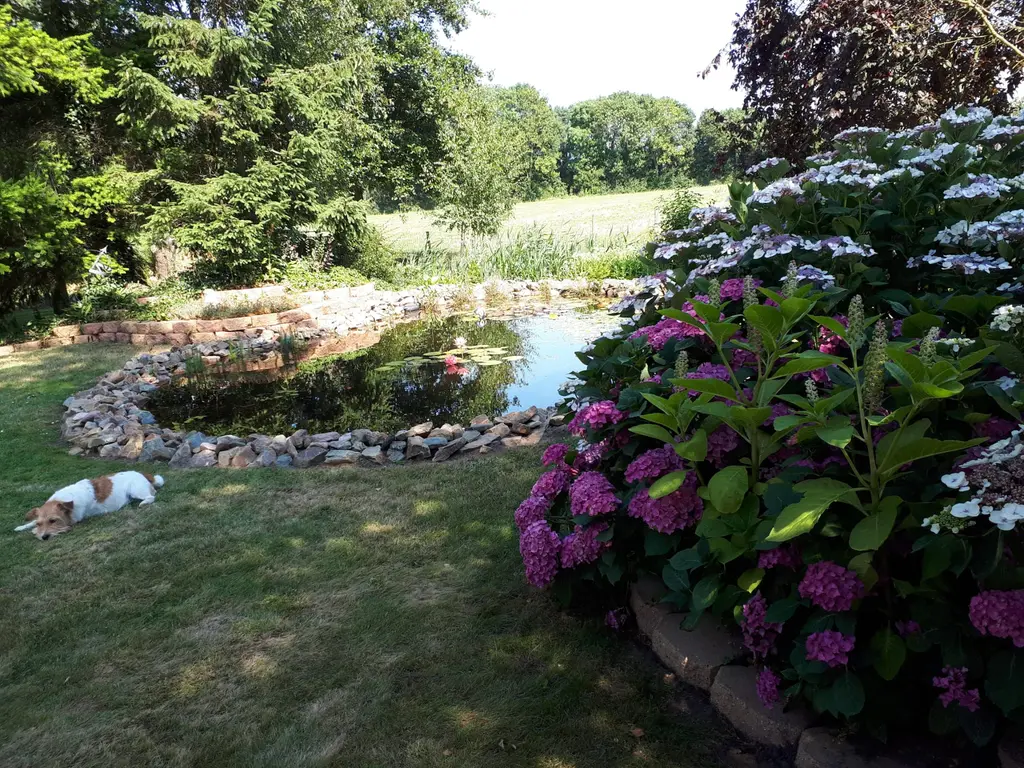 Oudelandsedijk 55A, ABBENBROEK