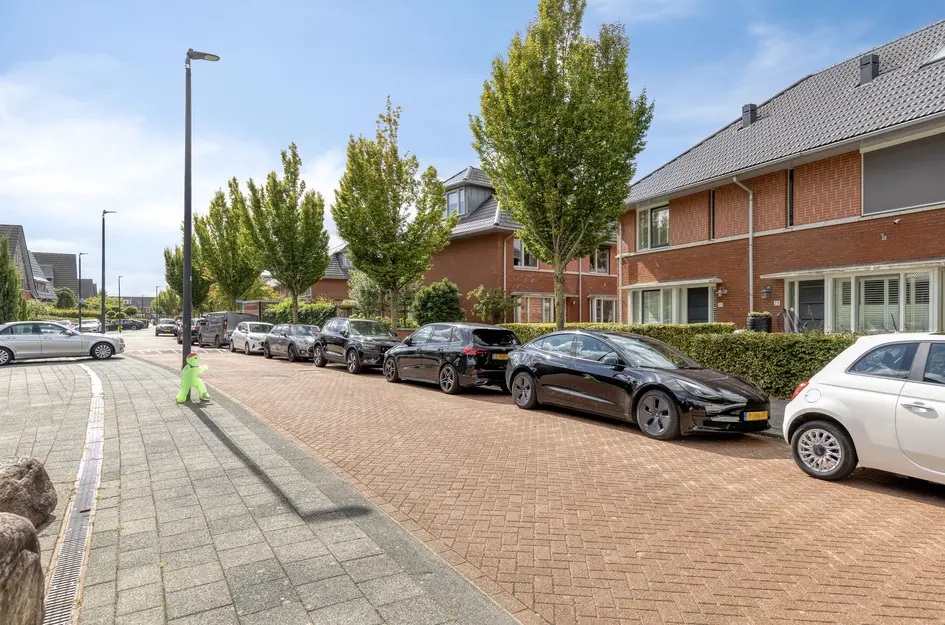 Francis Picabiastraat 25