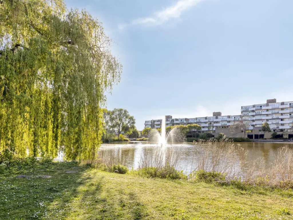 Henry Moorepassage 71, CAPELLE AAN DEN IJSSEL