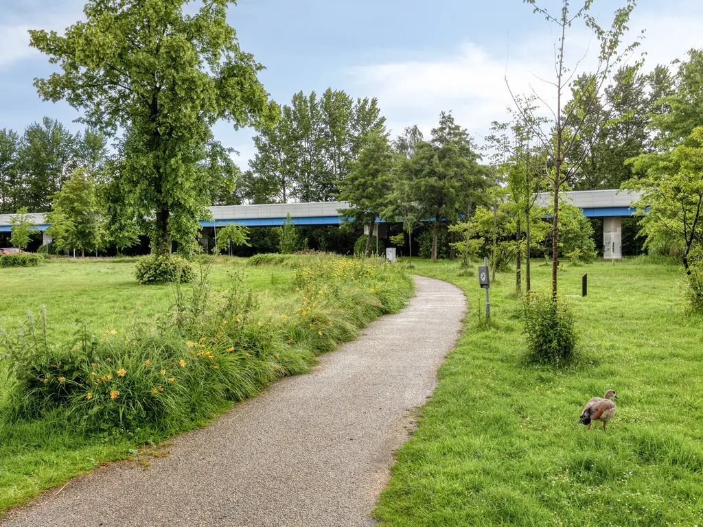 Lijstersingel 80, CAPELLE AAN DEN IJSSEL