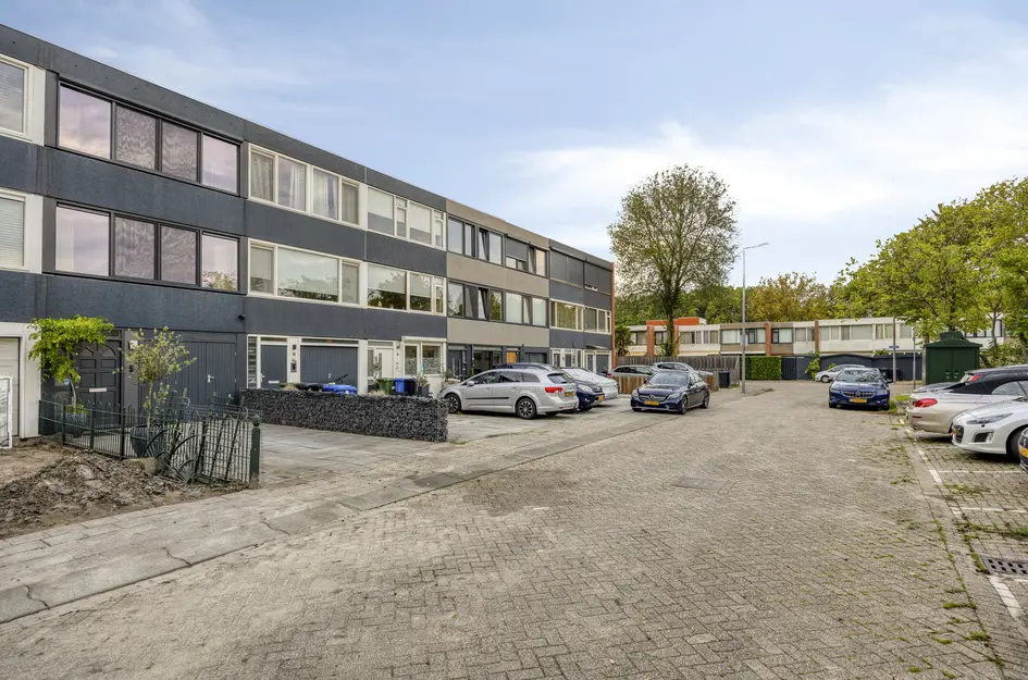 Zilverdistel 13