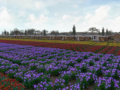 Schulpweg 60 53, Noordwijkerhout