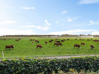 Kapelleboslaan 41 379, Noordwijk