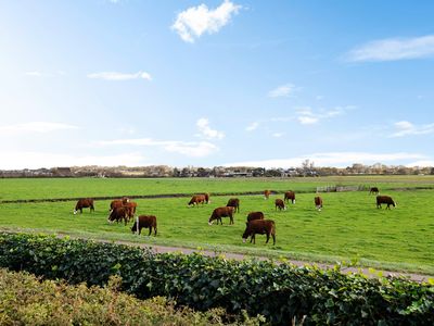 Kapelleboslaan 41 379, Noordwijk