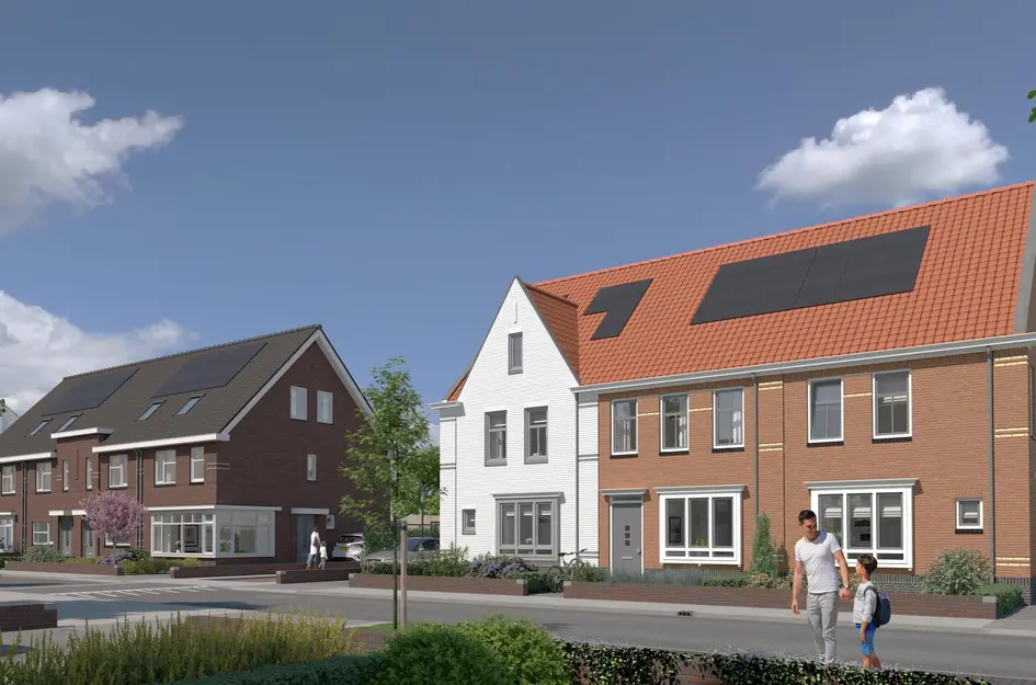 Mortiere Jazzboog Fase 4