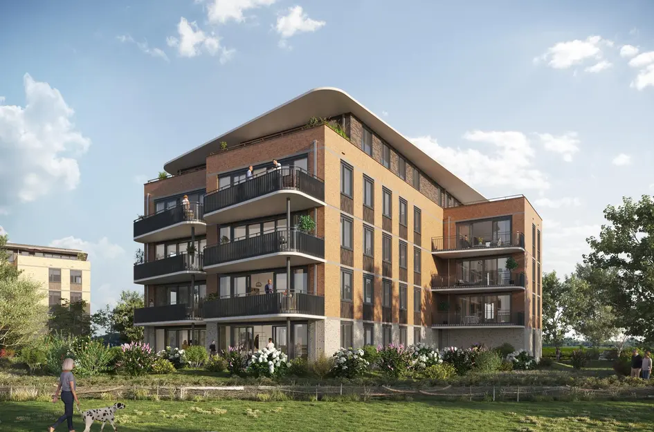 Lelietje-van-dalen (Allure) 1