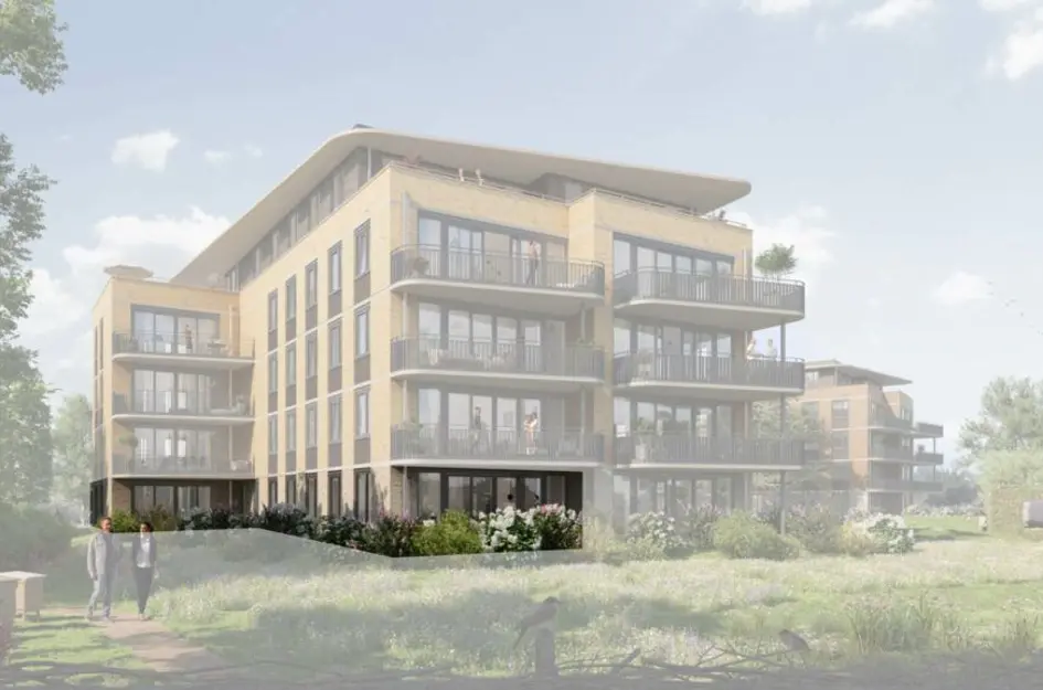 Beemdkroon special (Allure) 2