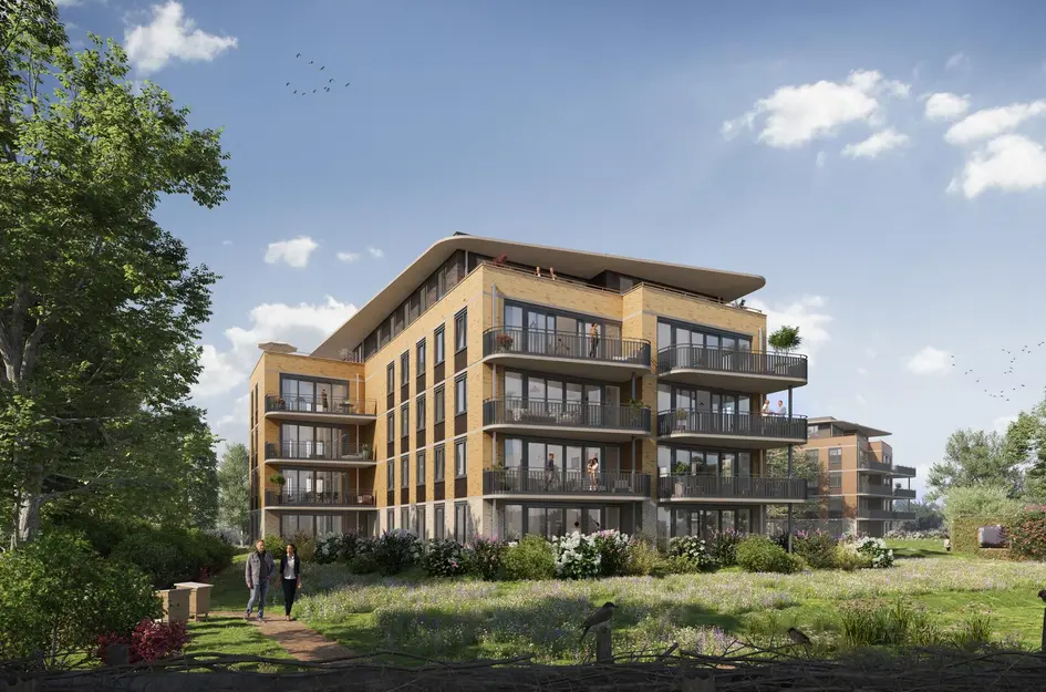 Beemdkroon special (Allure) 2