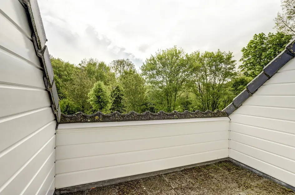 Albert van Dalsumlaan 18