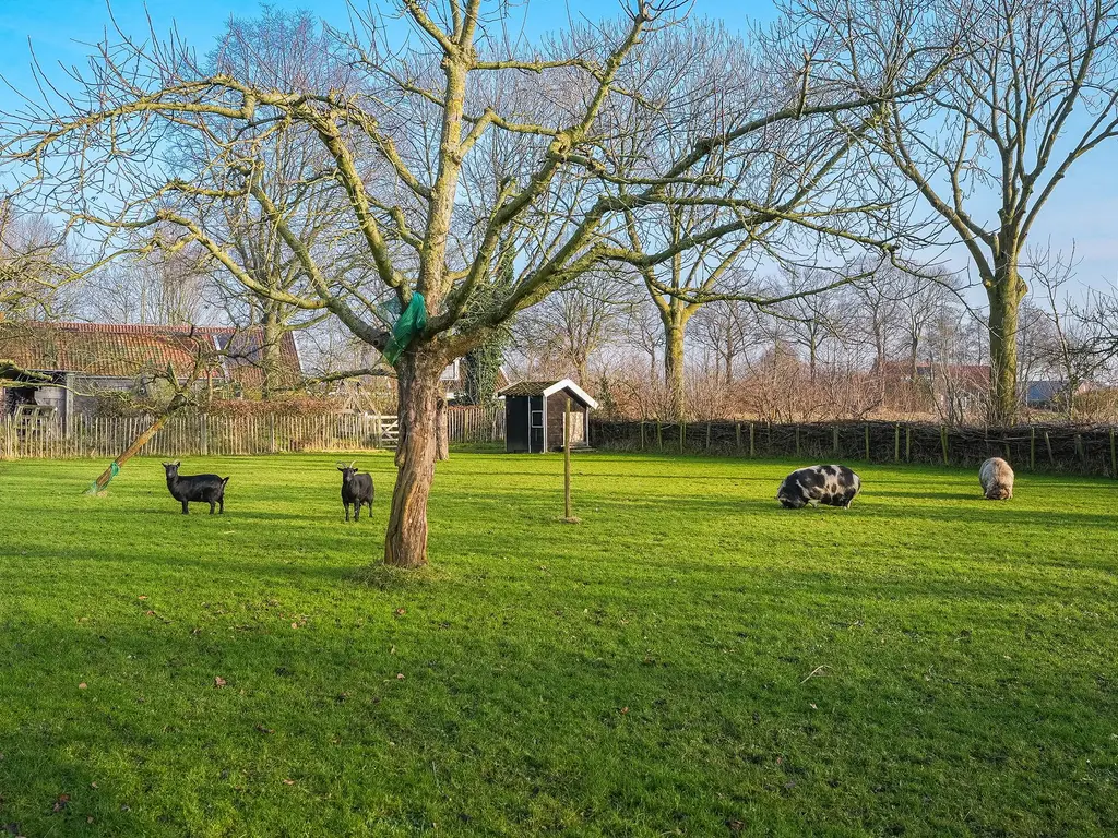 Plataanweg 19, OVEZANDE