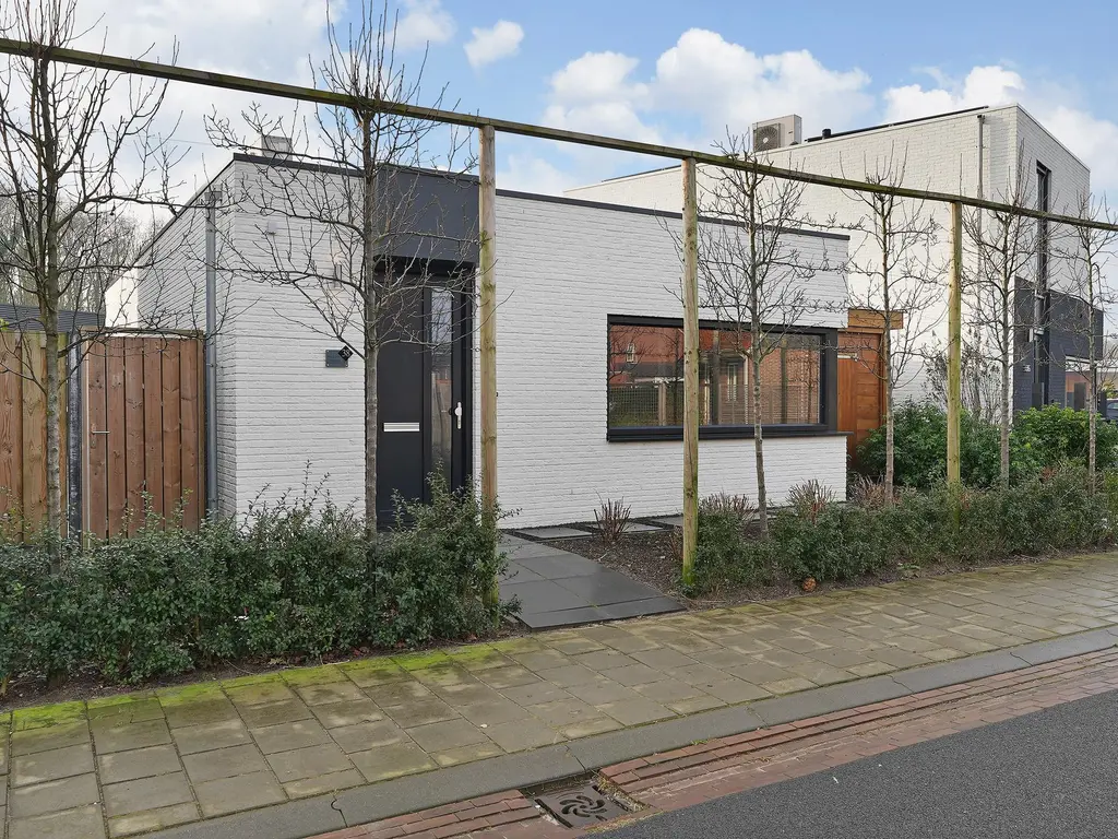 Meestoof 38, COLIJNSPLAAT