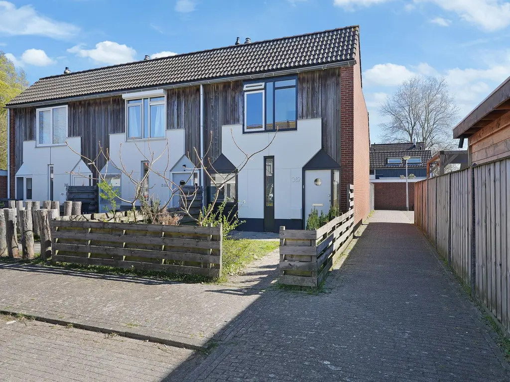 Kanariesprenk 387, VLISSINGEN